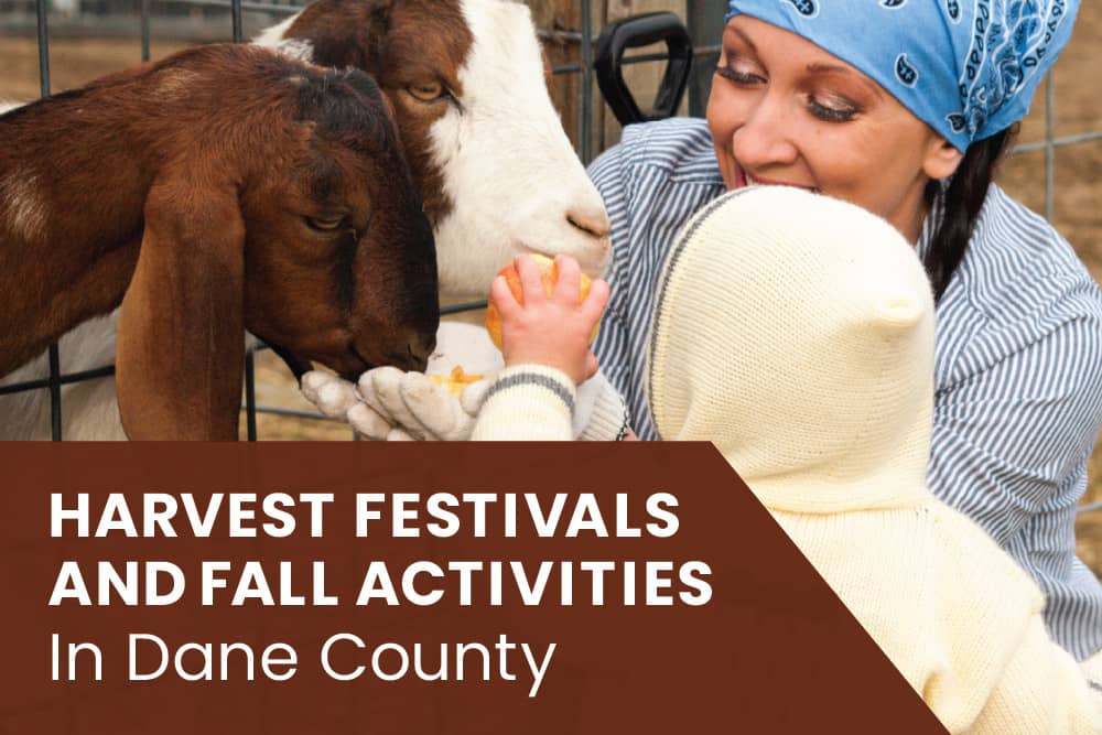 Harvest Festivals